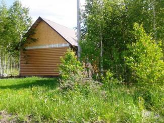 Лесная усадьба Лесная усадьба